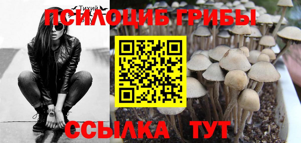 наркота  Вход с VPN  Галлюциногенные грибы ЛСД  Кулебаки  Галлюциногенные грибы ЛСД 