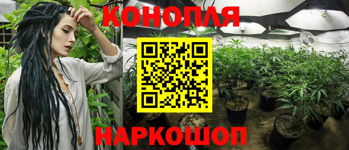 Каннабис AK-47  Шишки марихуана план  Марихуана сатива  Бошки марихуана тримм  Кулебаки  Вход с VPN 